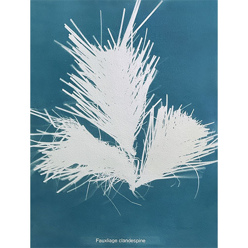 Species: Fauxliage clandespine (cyanotype leaf photogram) (2024)